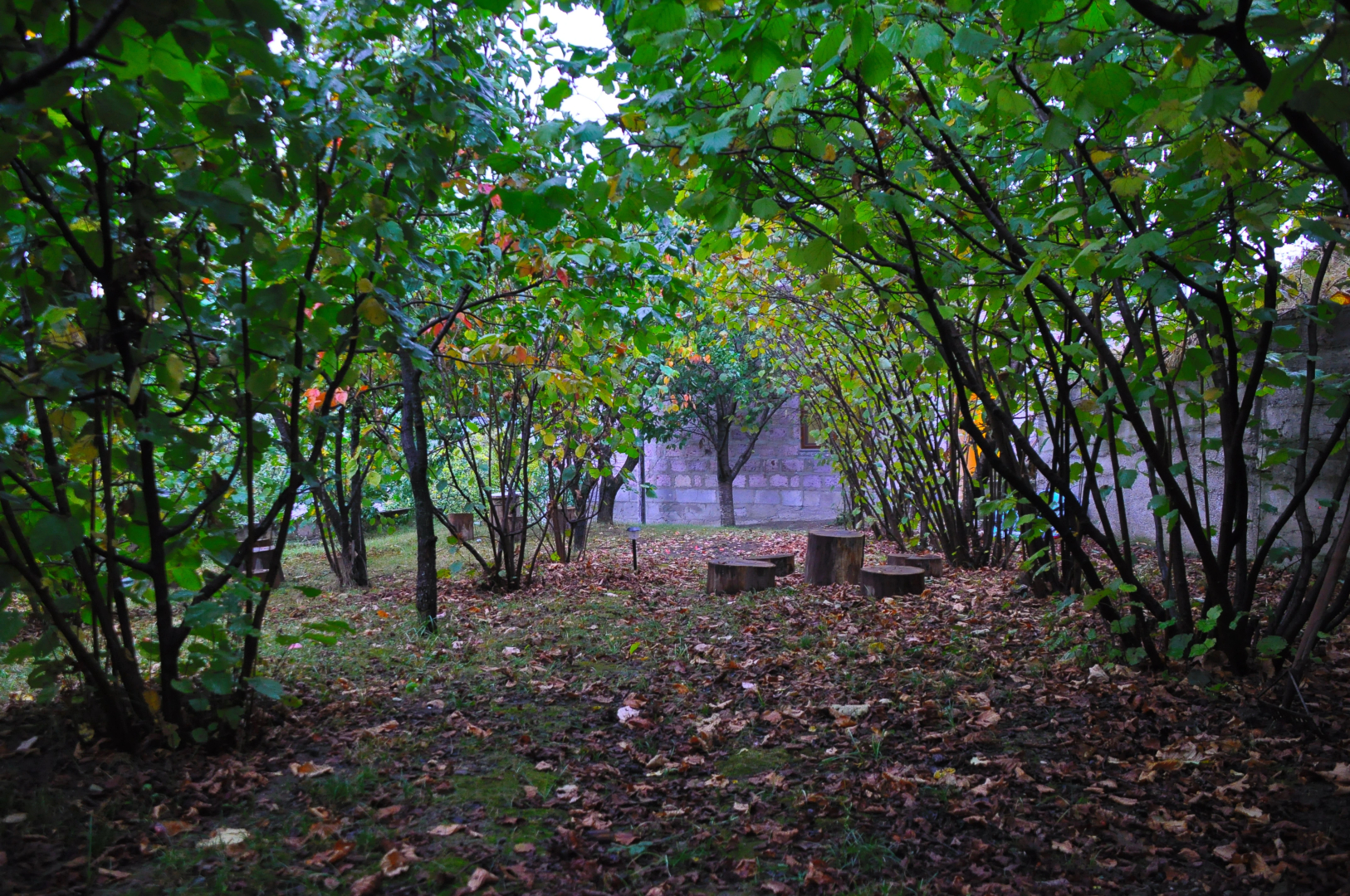 Гостевой дом Kamar