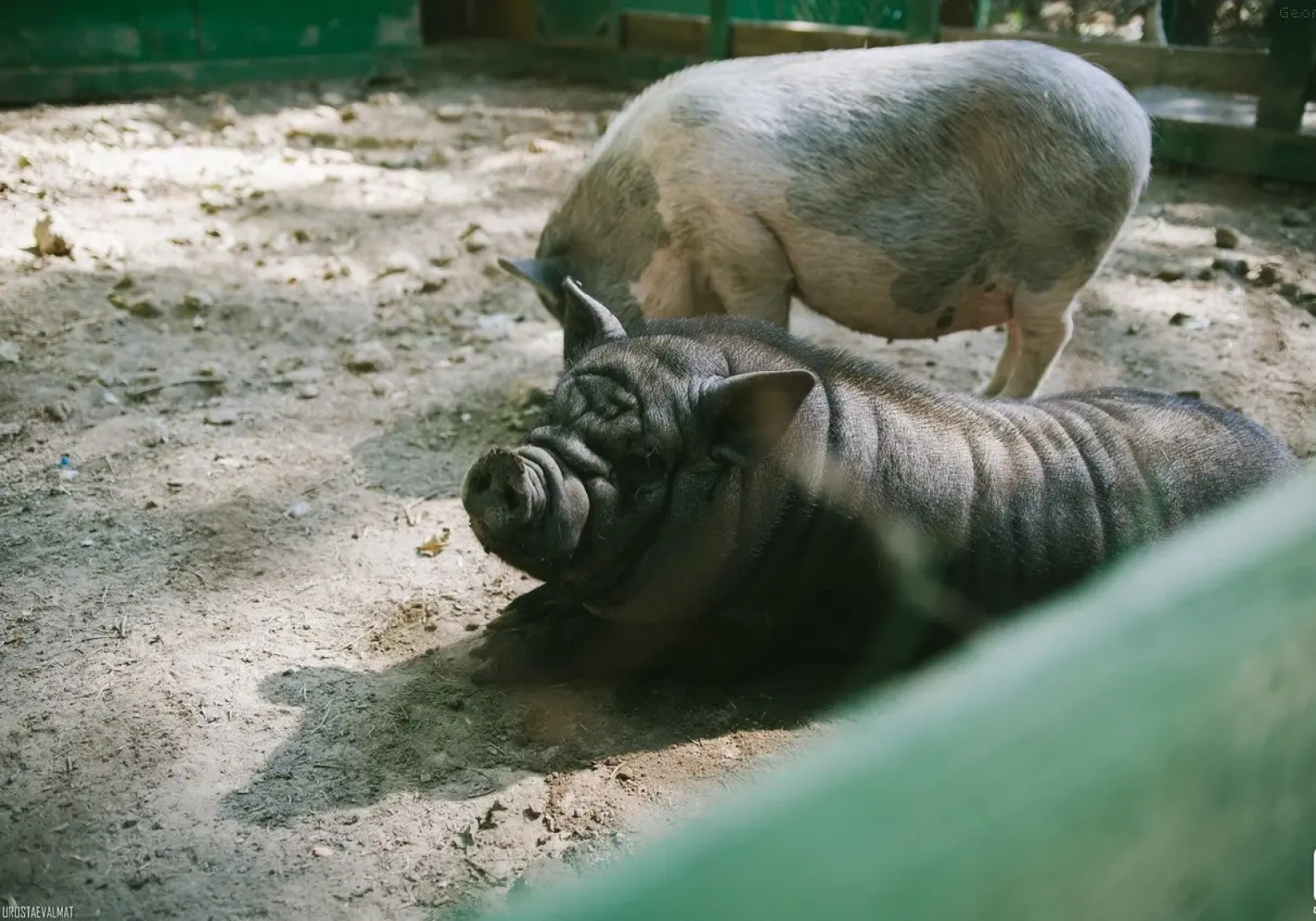База Отдыха Рыболовно-Охотничья На Калиновке