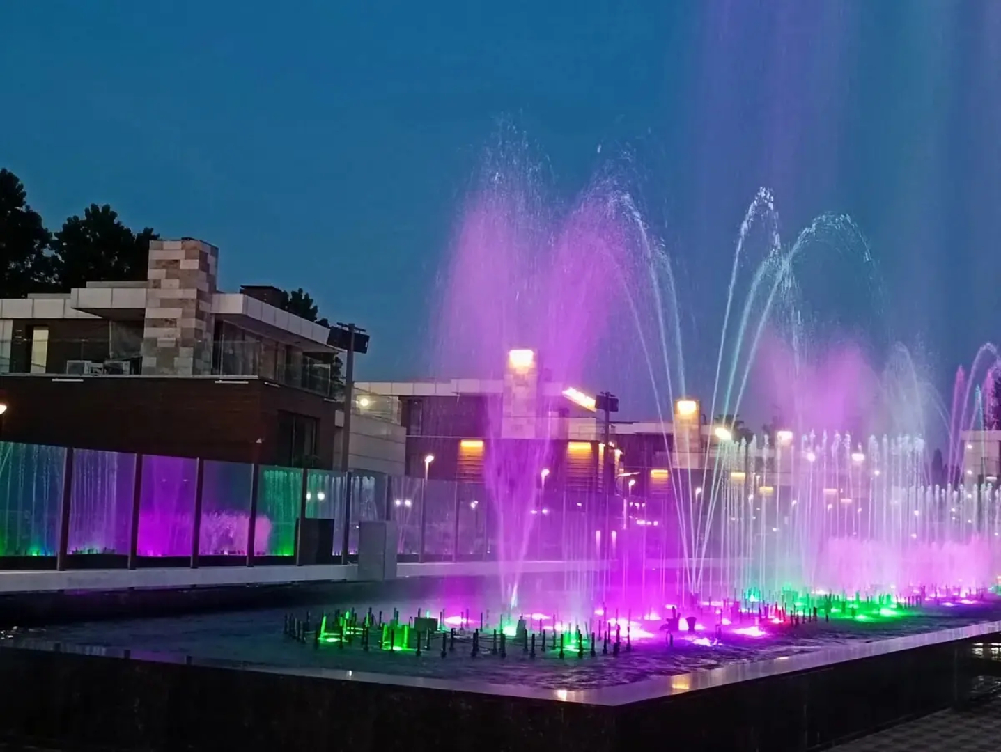 Апартаменты Джунгли у моря