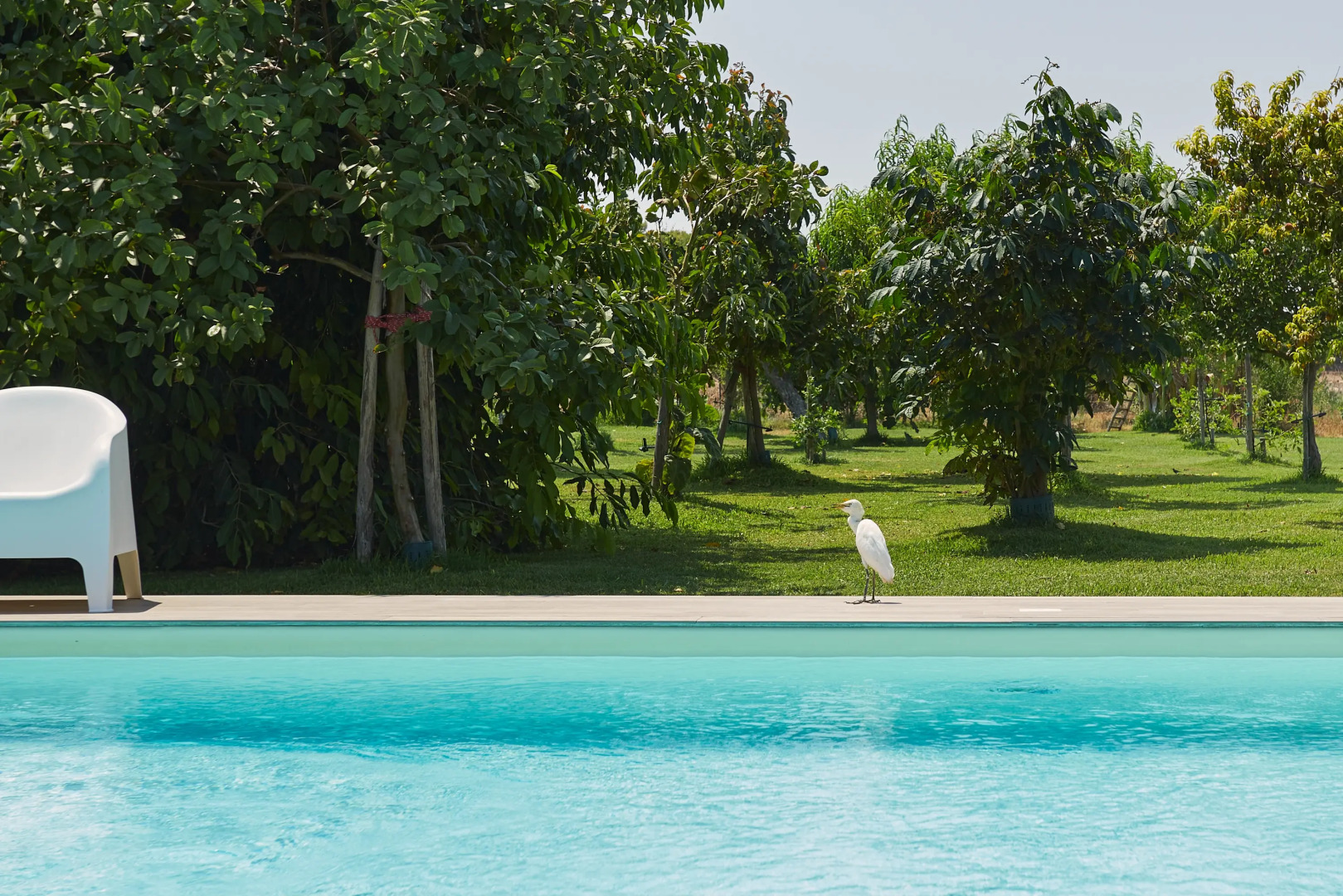 Вилла Casale della Pergola