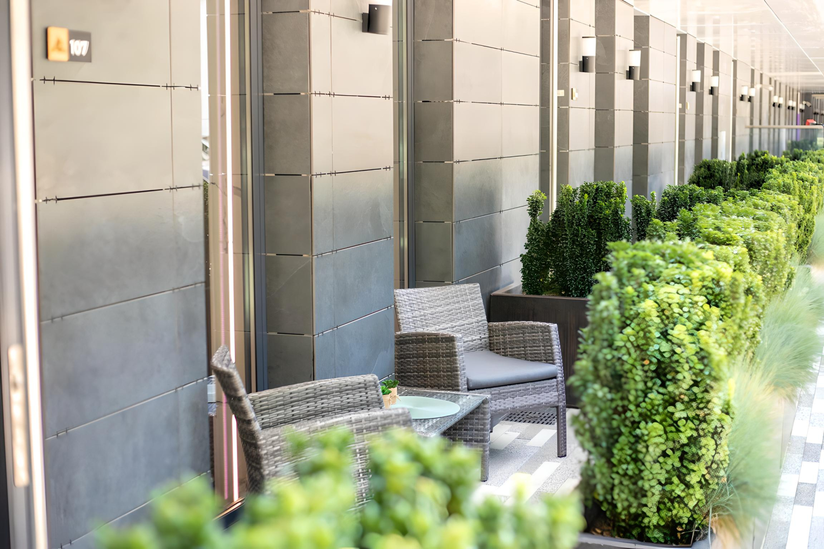 Апартаменты в центре Сочи 10 минут до моря АК Архитектор с террасой Patio