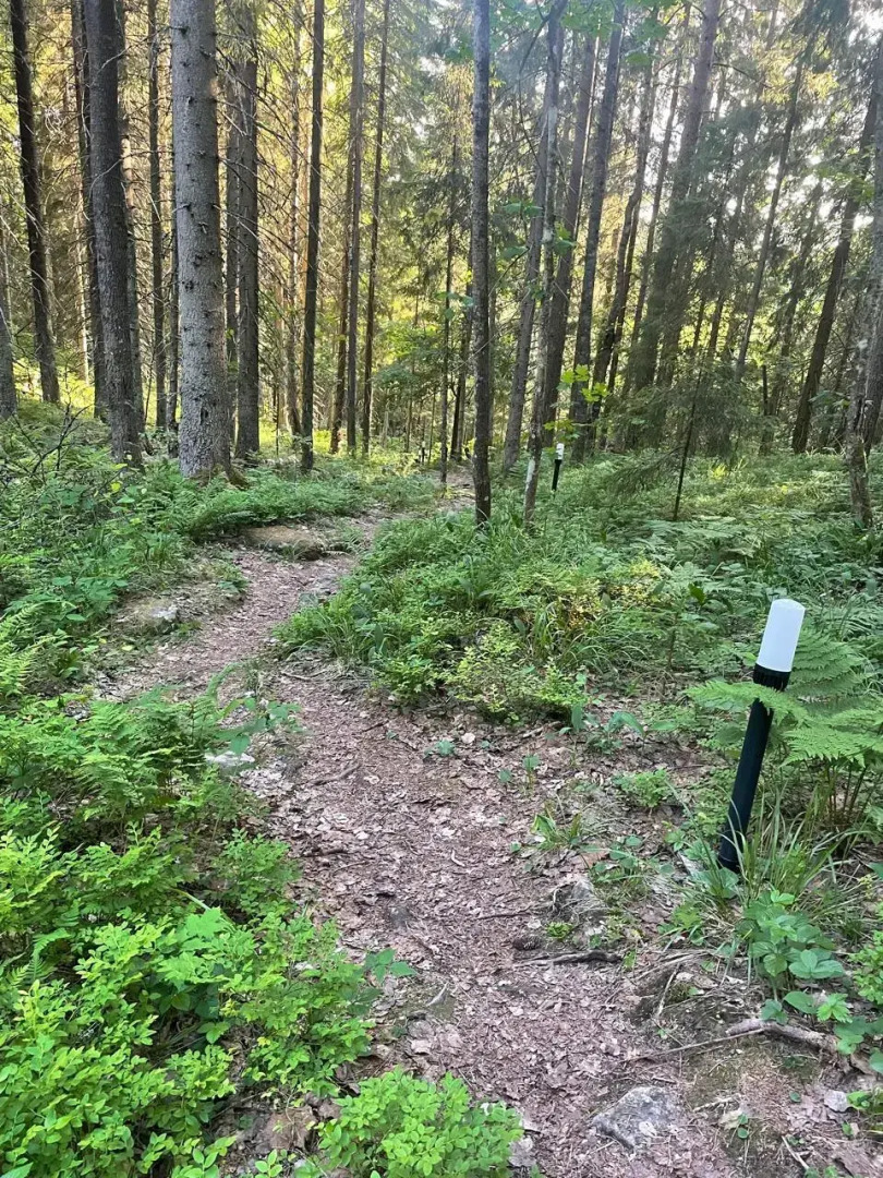 Бунгало Дача Долос