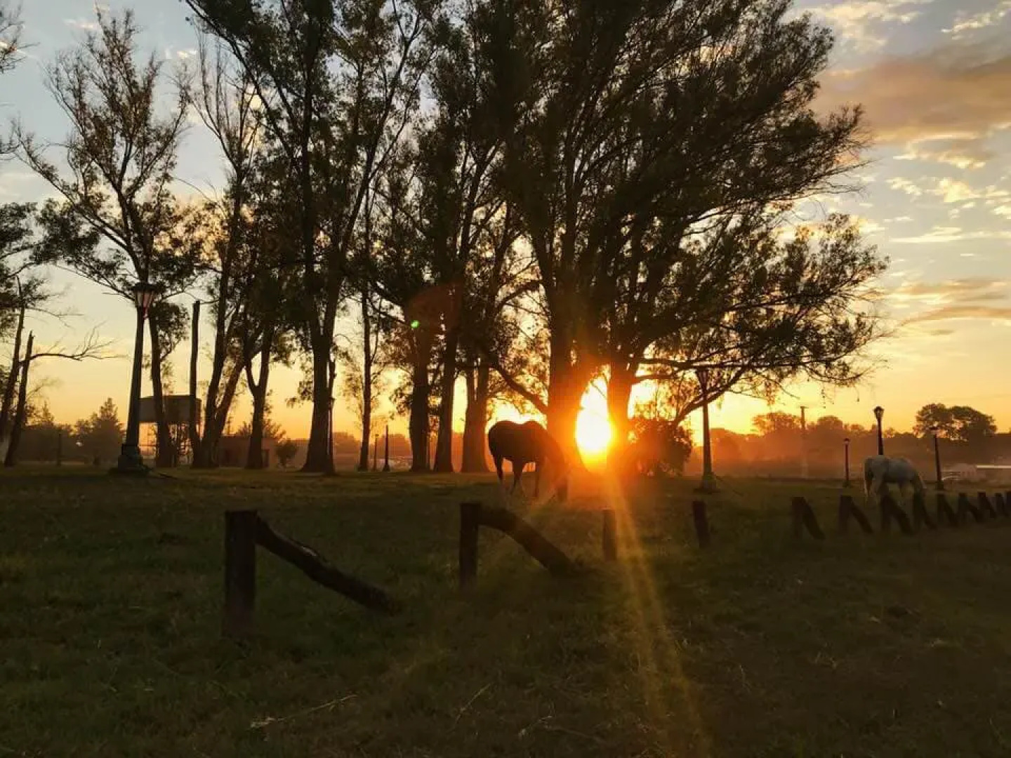 Бутик-Отель Estancia El Cencerro