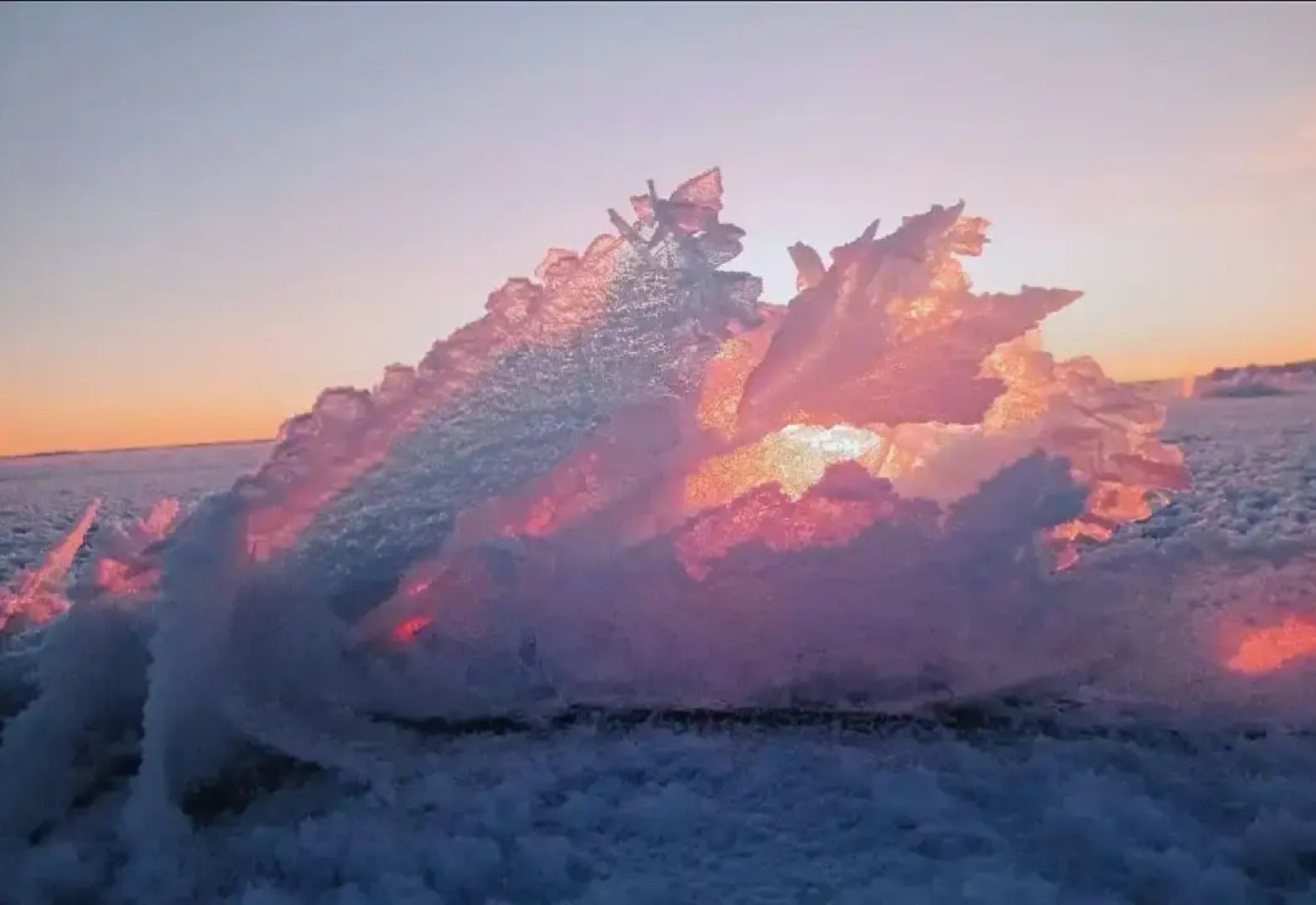 Гостевой дом Лисий берег