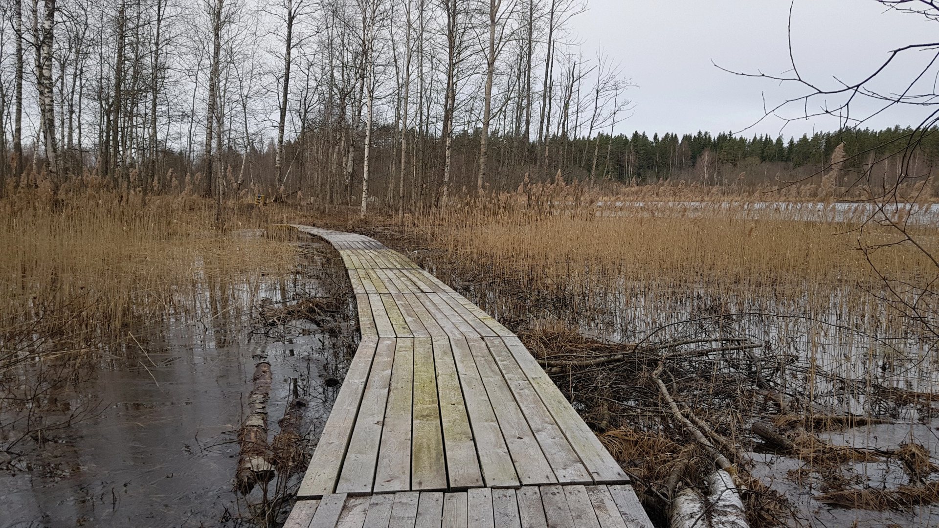 База Отдыха Ромашка Клуб