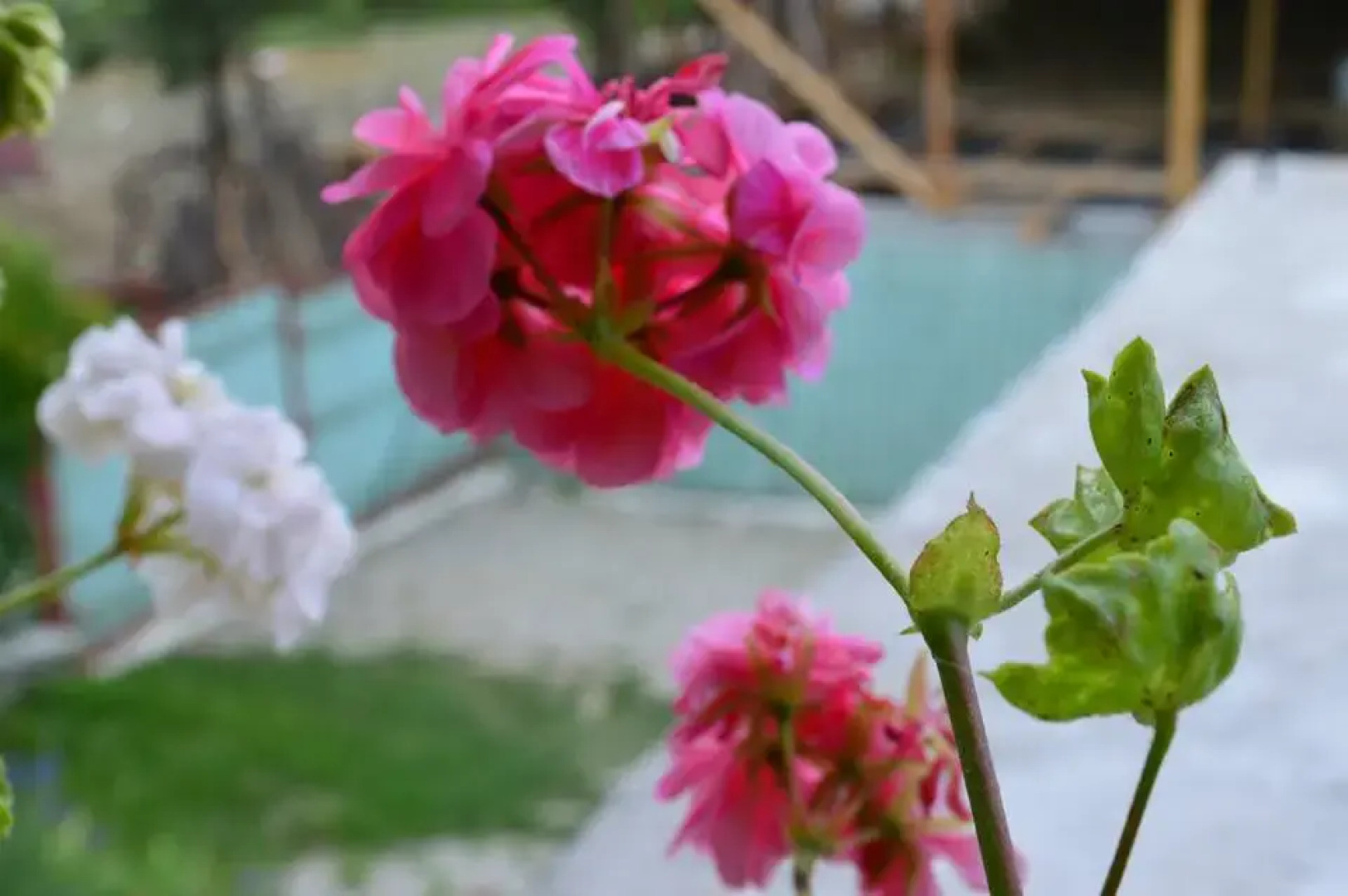 Гостевой дом Belvedere La Cristina