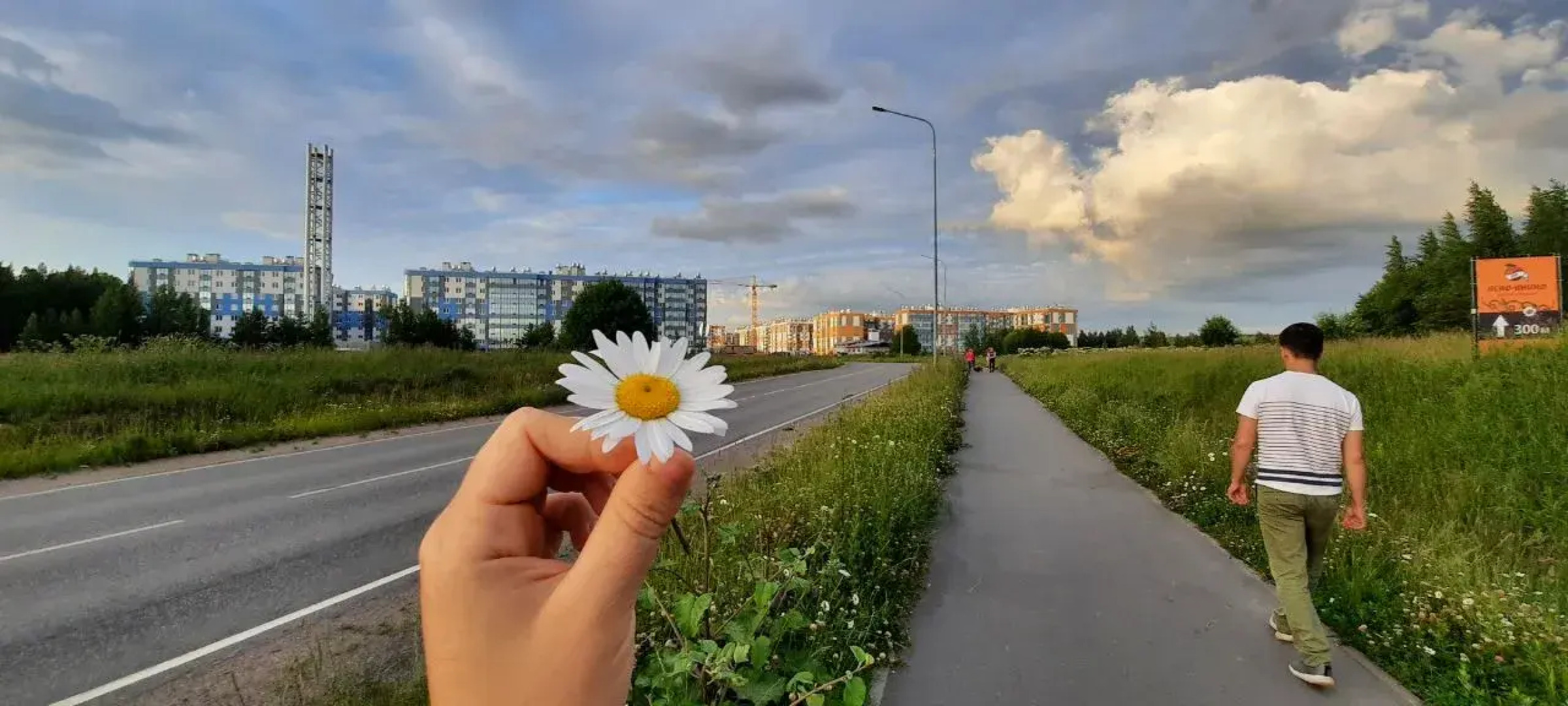 Апартаменты  ЖК Ясно Янино