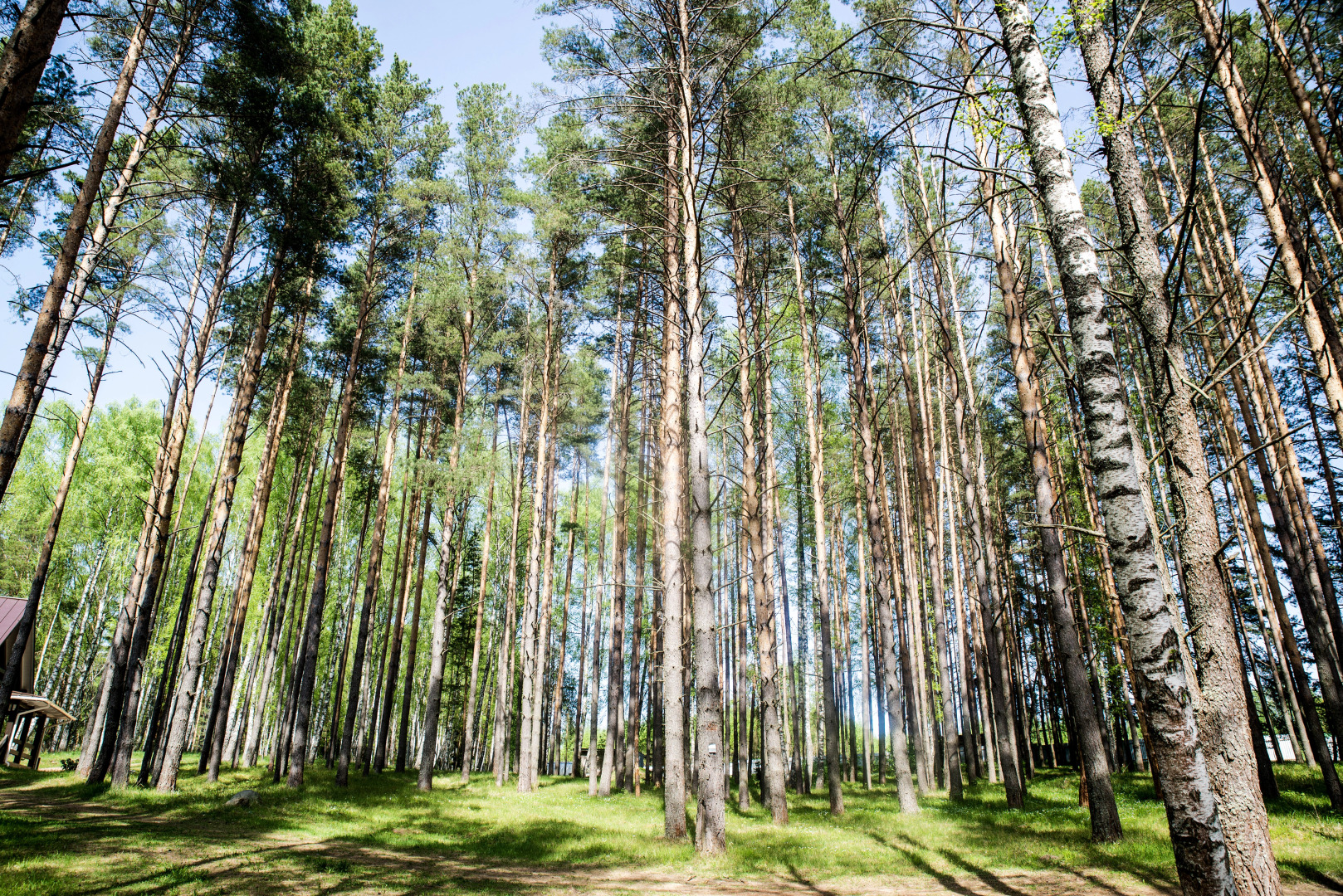 Шале экоусадьба Архангельская на Волге