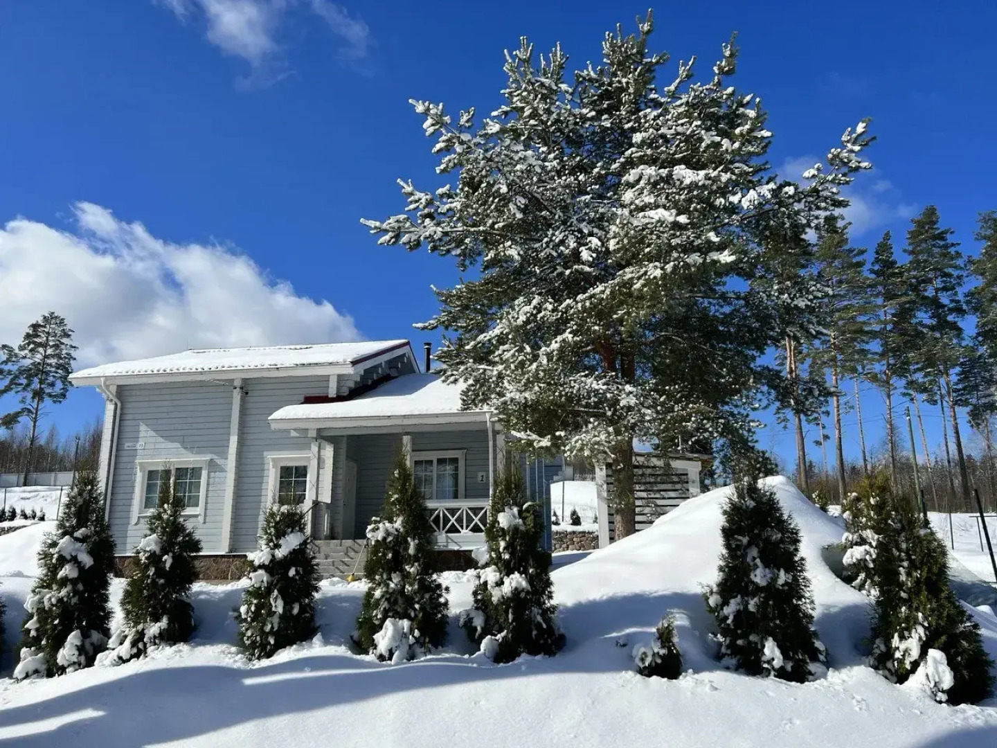 Частный Дом Озеро Лунное