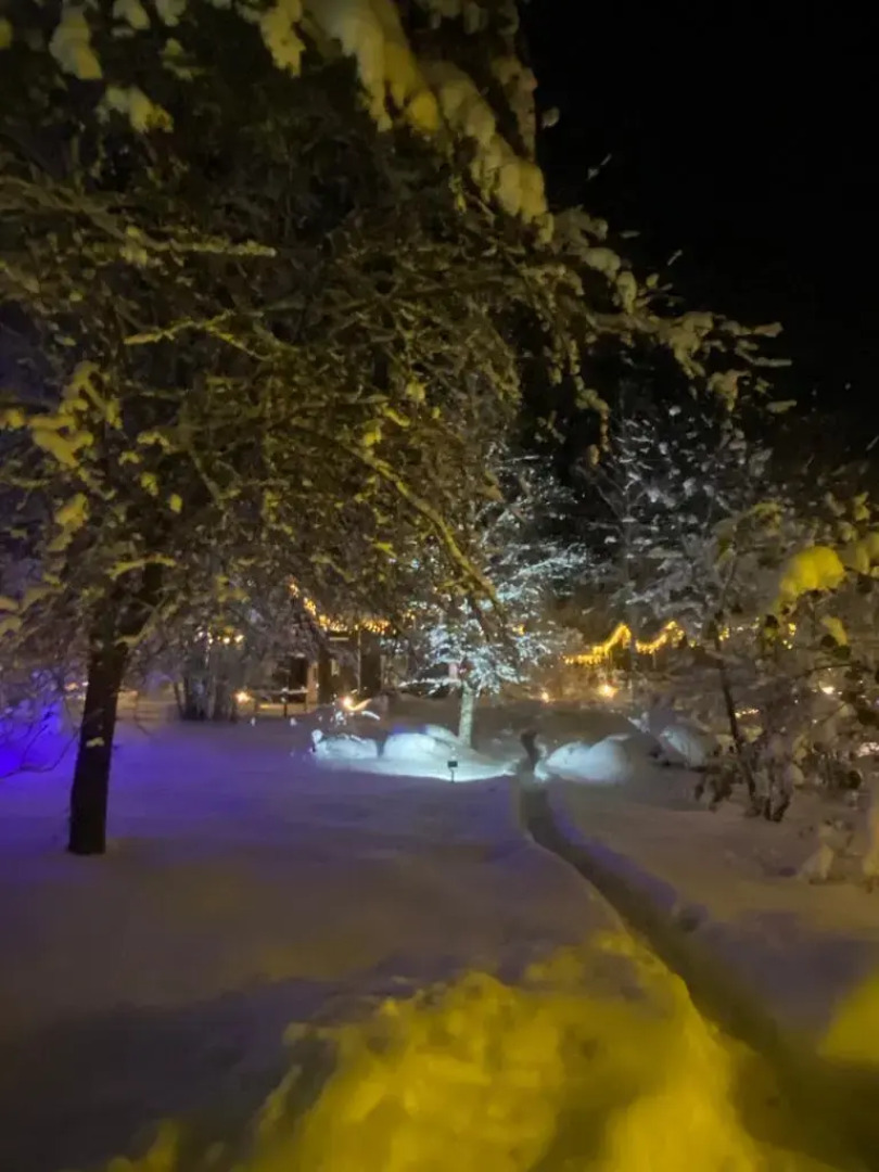 Меблированные комнаты Моя Дача