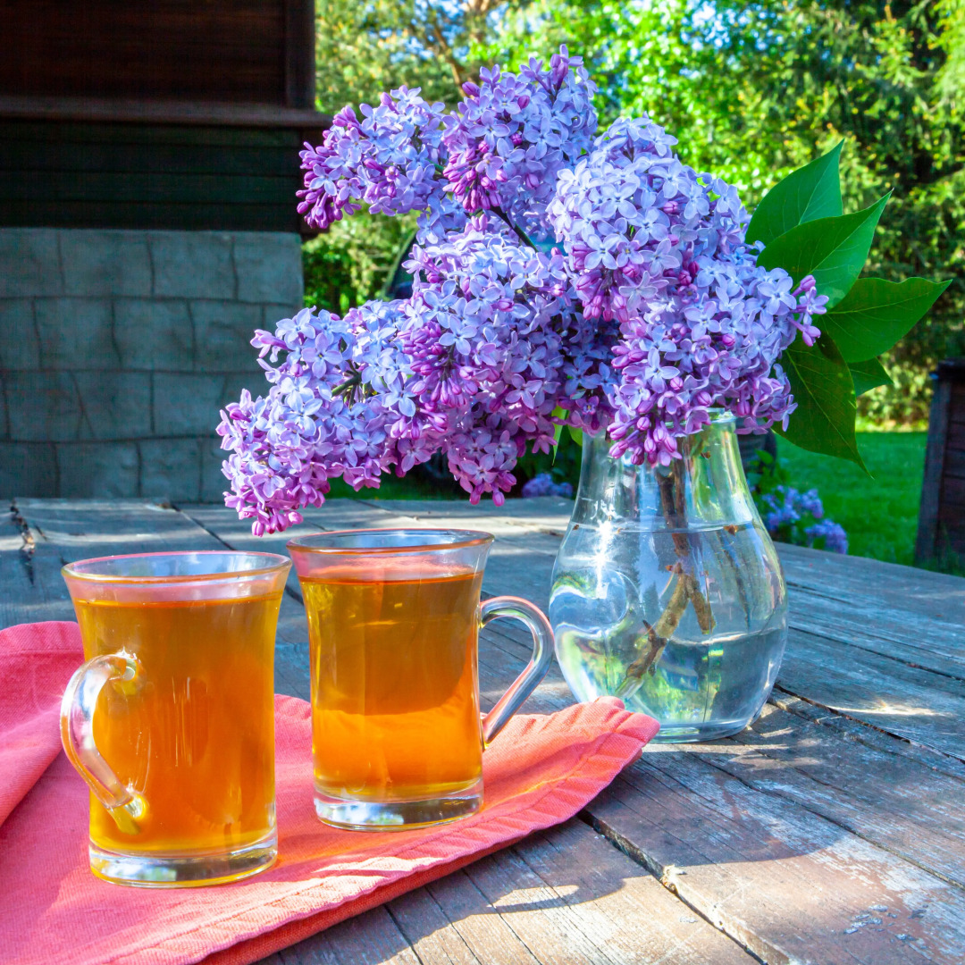 База отдыха Рыбацкая деревня