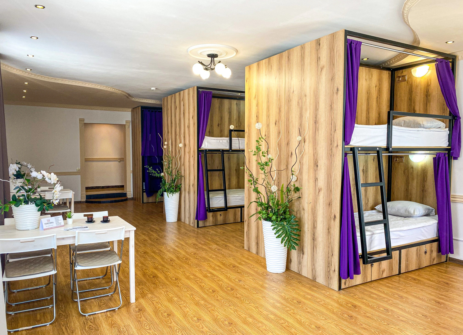 Меблированные комнаты VERTEBRA