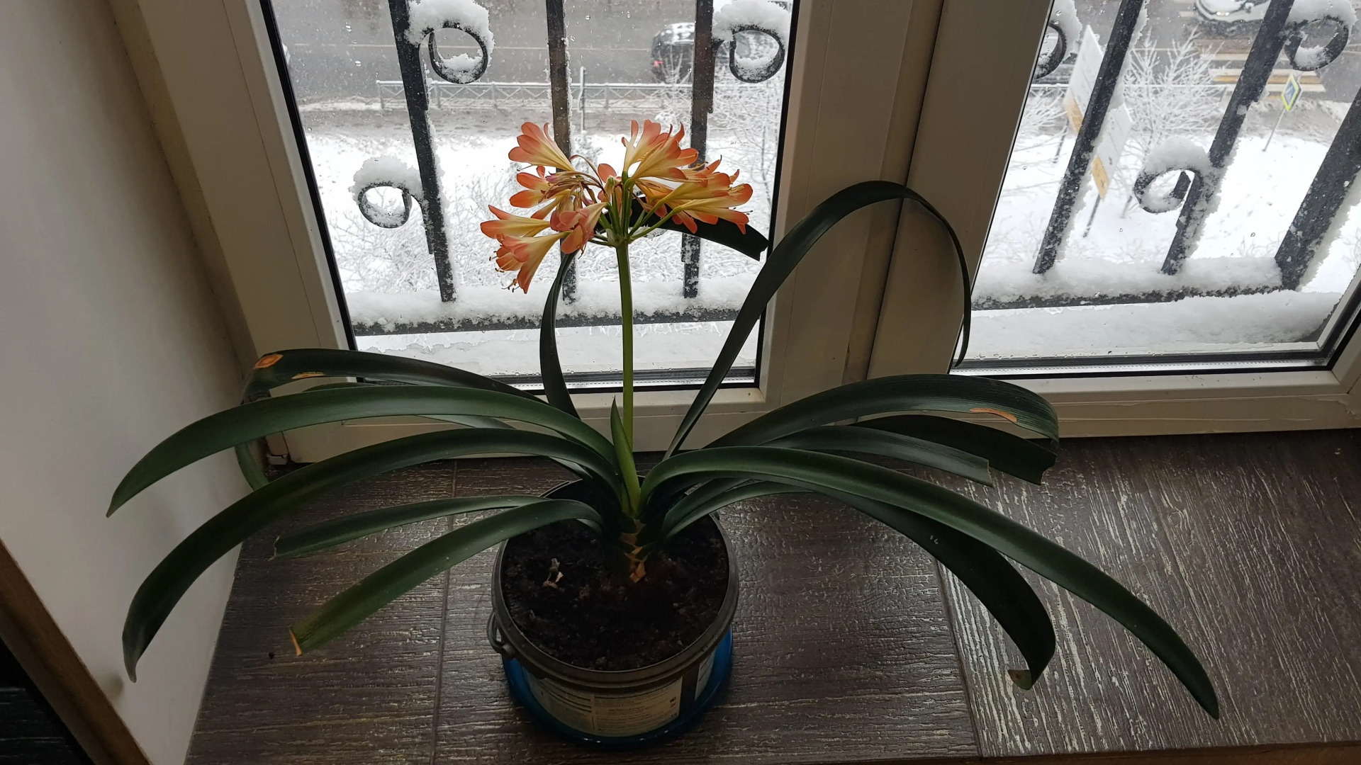 Квартира На 9-ом Небе