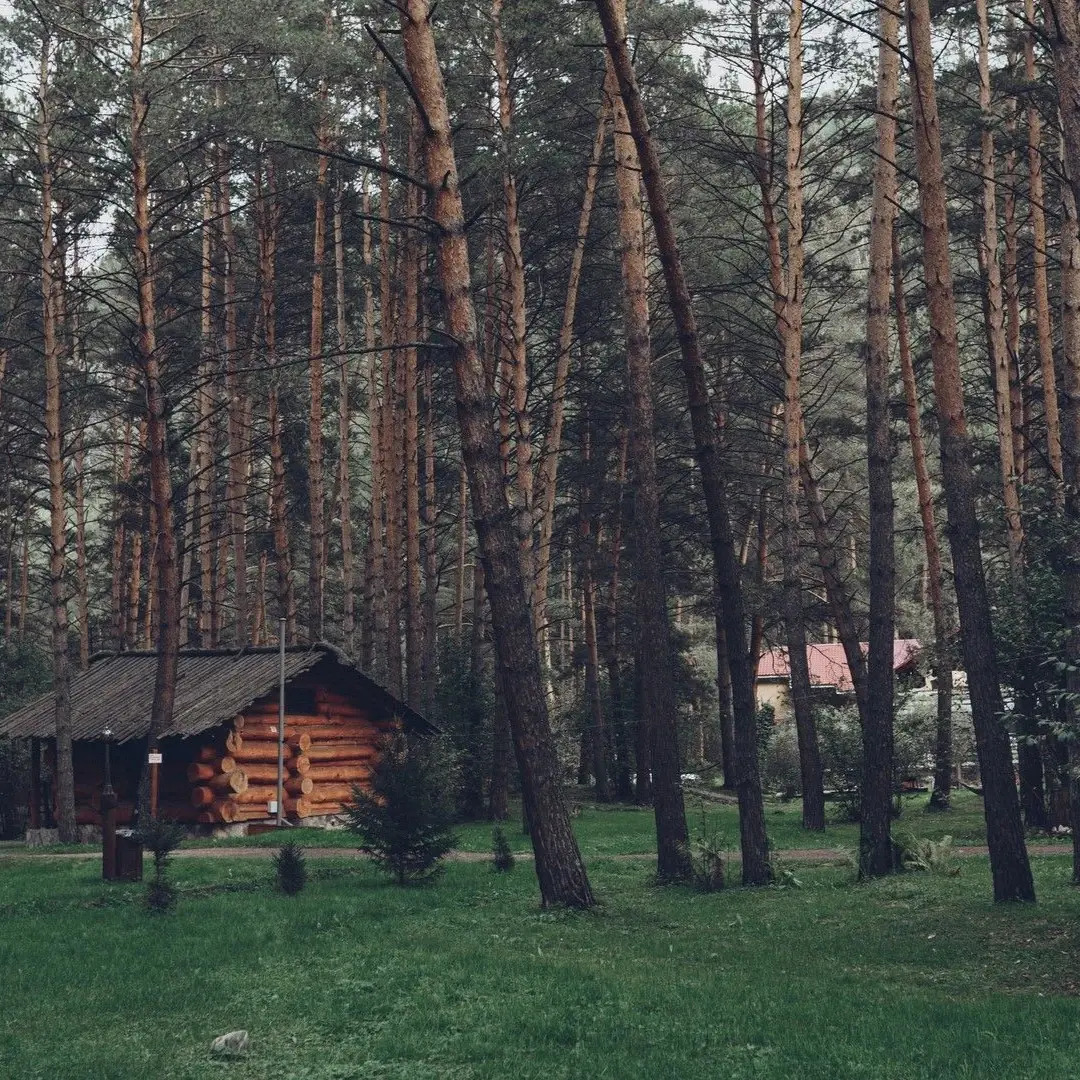 Гостевой дом Деревня Берендеевка