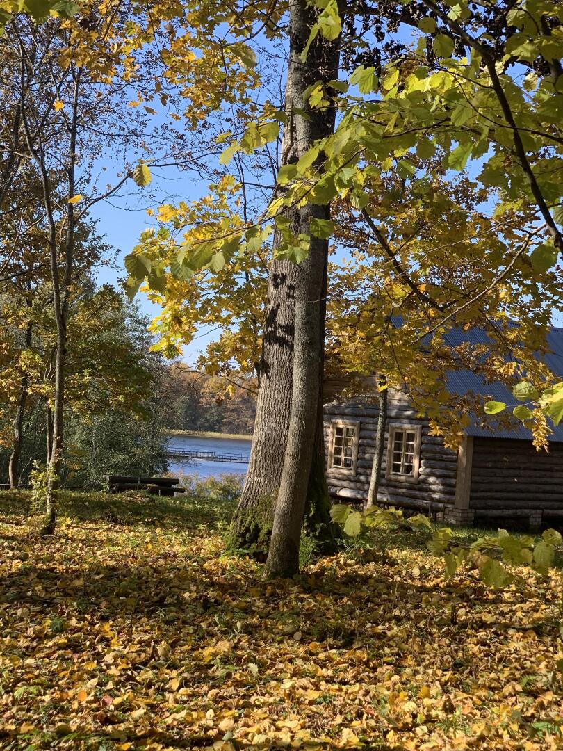 Бунгало Изба на Опушке. Хутор Пралище