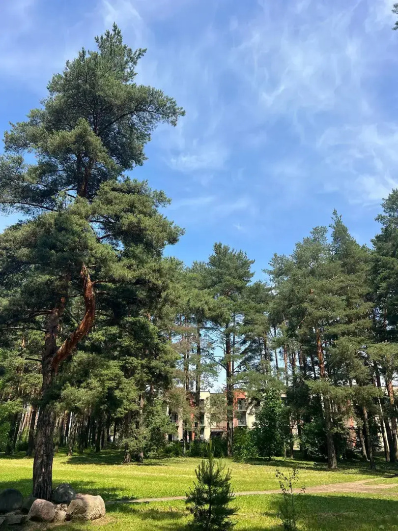 Квартира Экогород 10