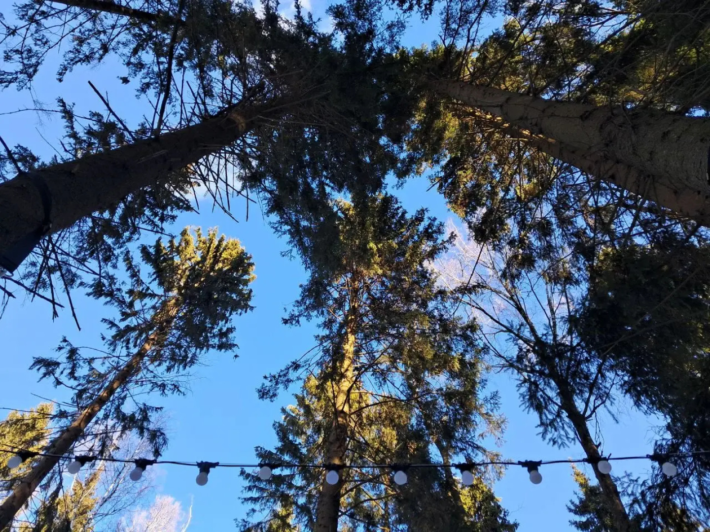 Частный дом Greenholt