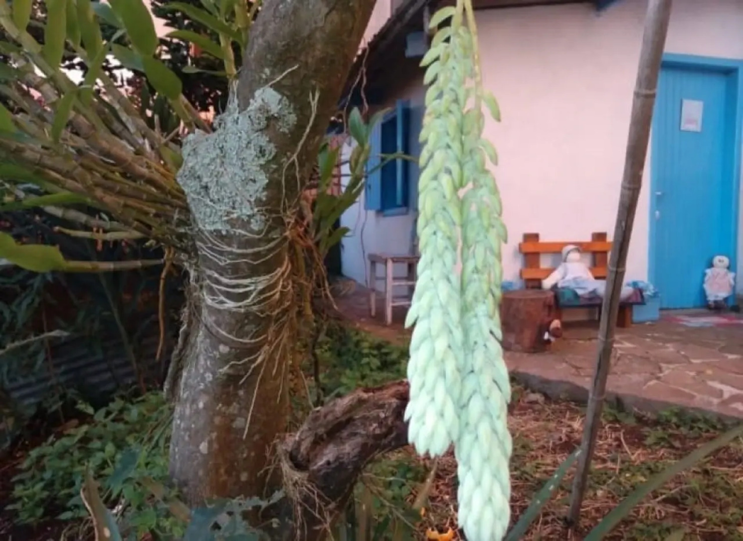 Гостевой Дом Brincando de Casinha