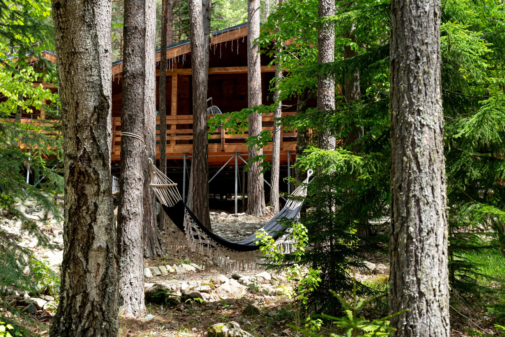 Отель Нарния