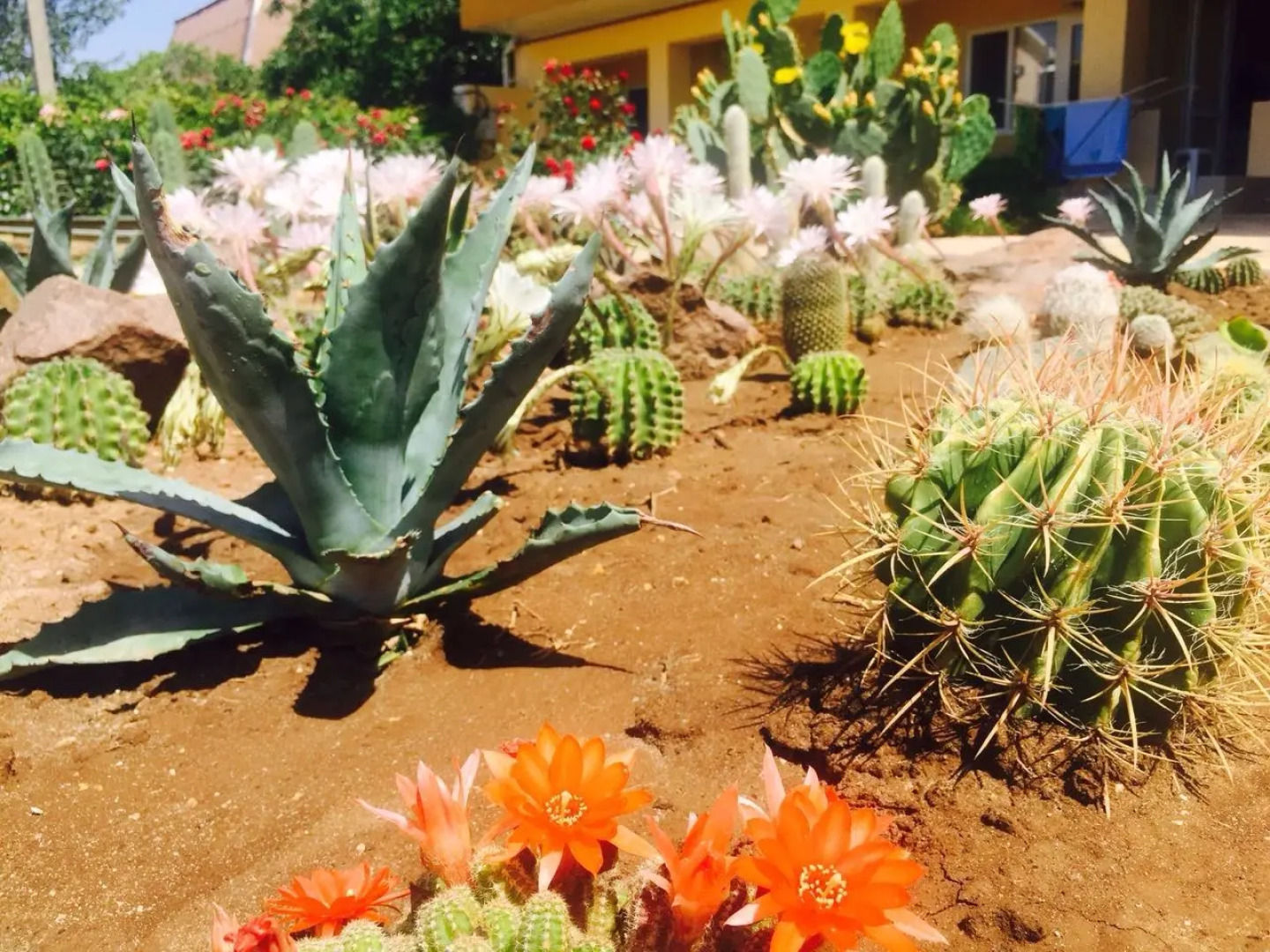 Отель Gala Paradise