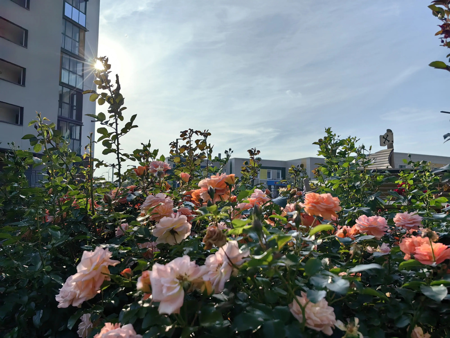 Квартира Лофт в Притяжении