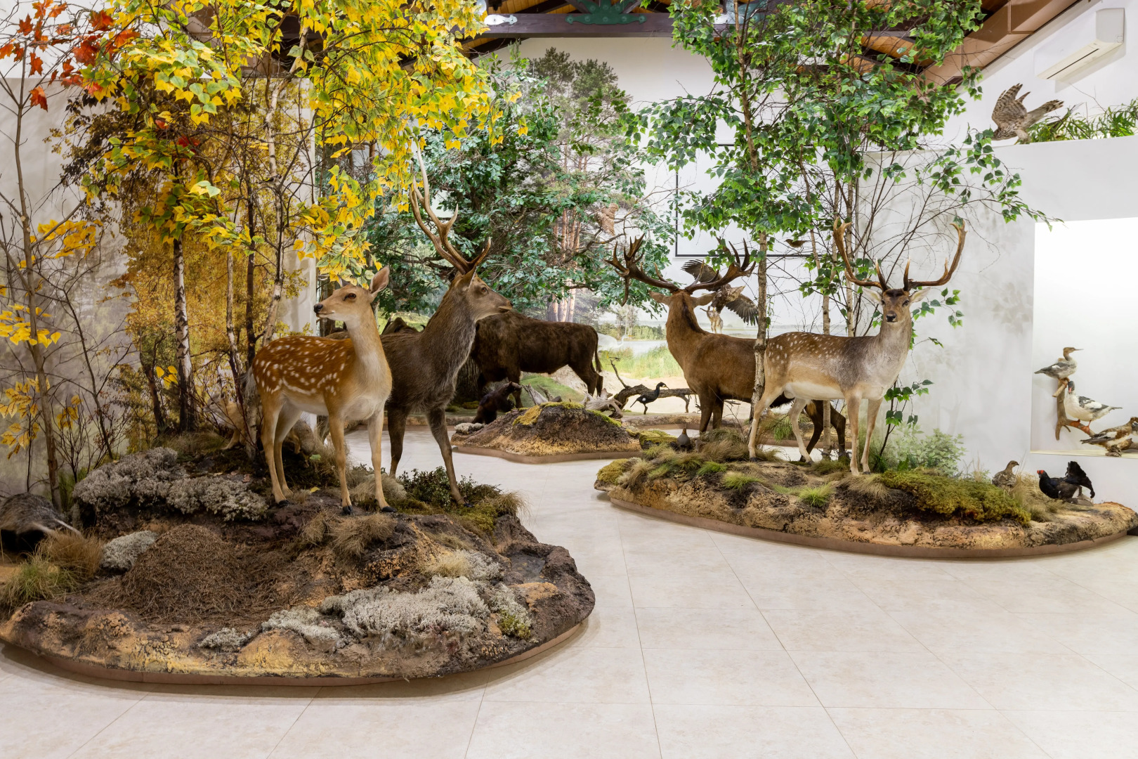 Туристический комплекс Красный Бор