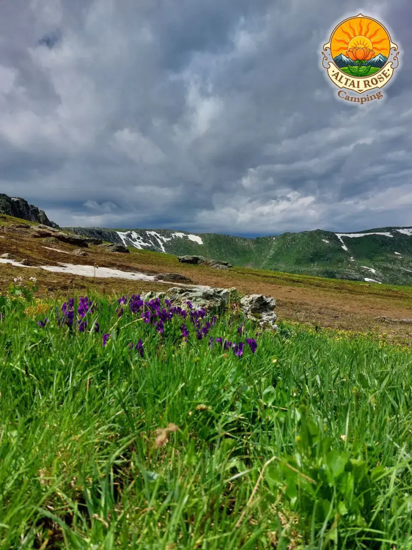 База отдыха Алтайская Роза