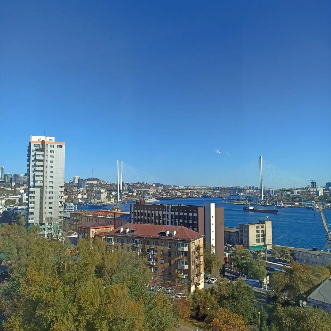 Квартира 1-Kомнатная Бестужева 15 Вид на Золотой Мост