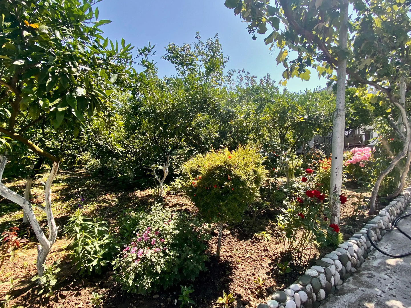 Гостевой дом U Norika i Susanny