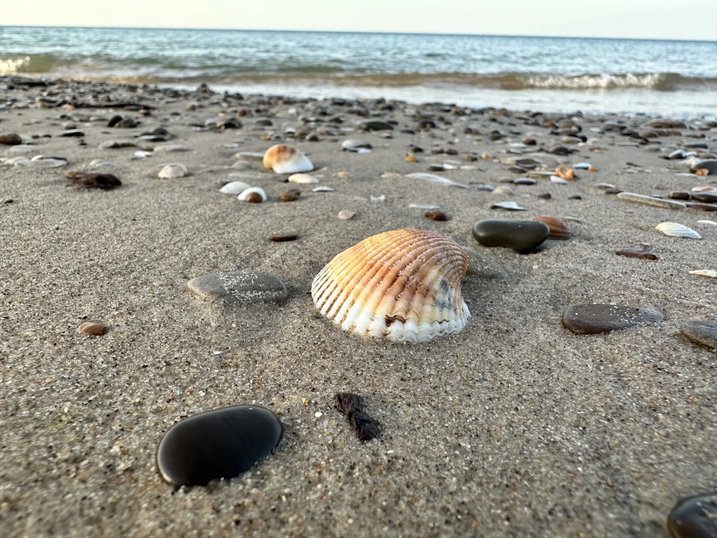 Гостевой дом Южные ночи