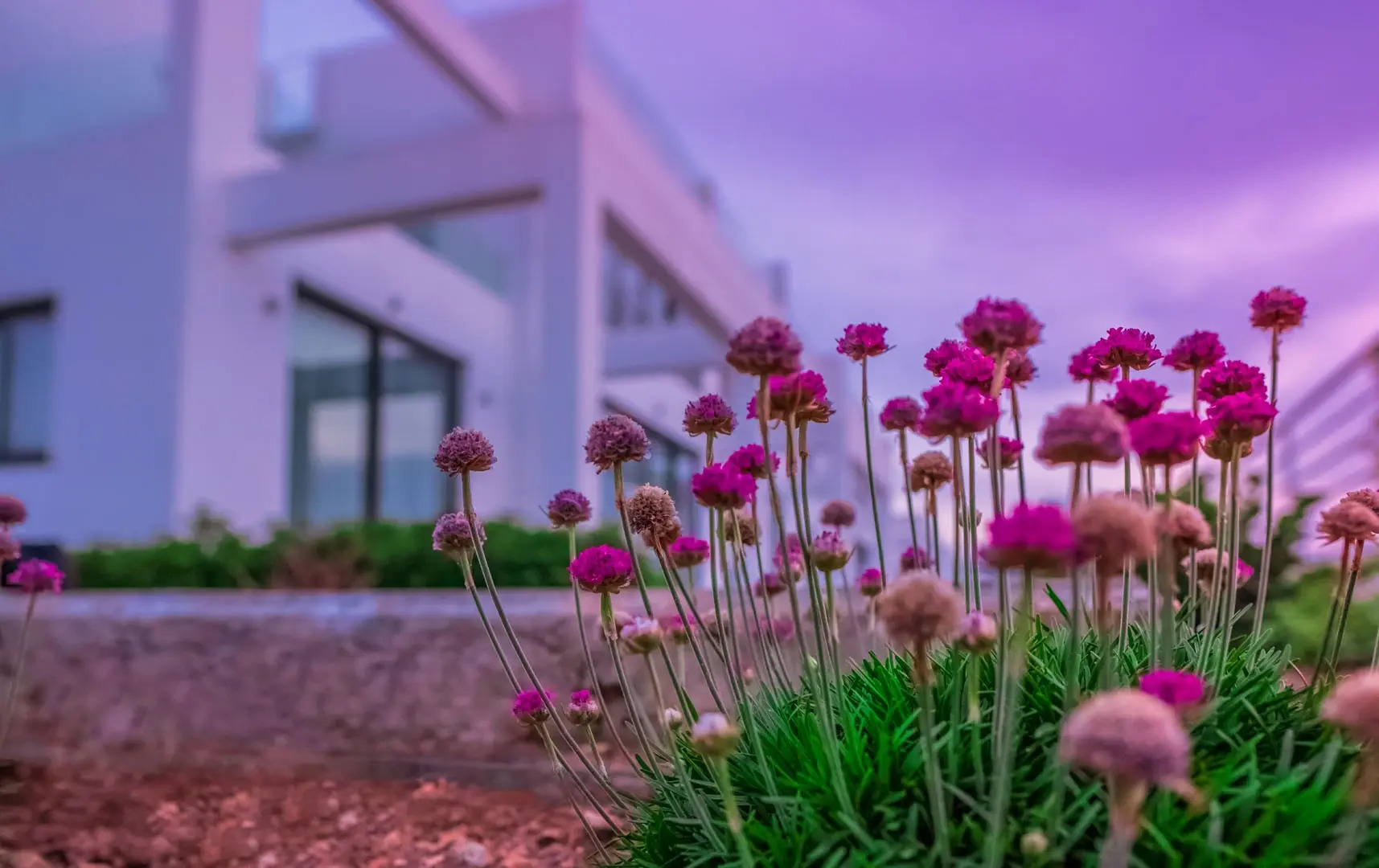 Отель Sun Valley Resort&Residency