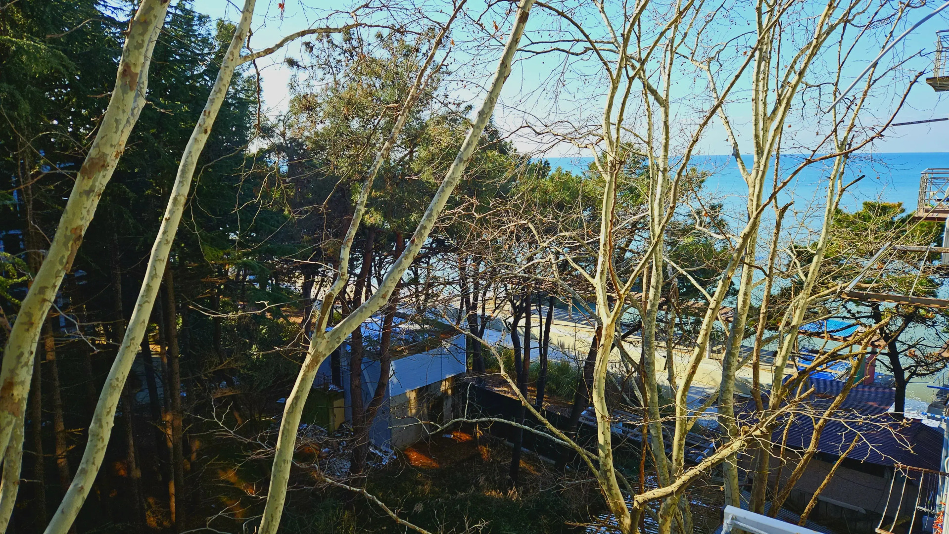 Апартаменты на Просвещения у Моря