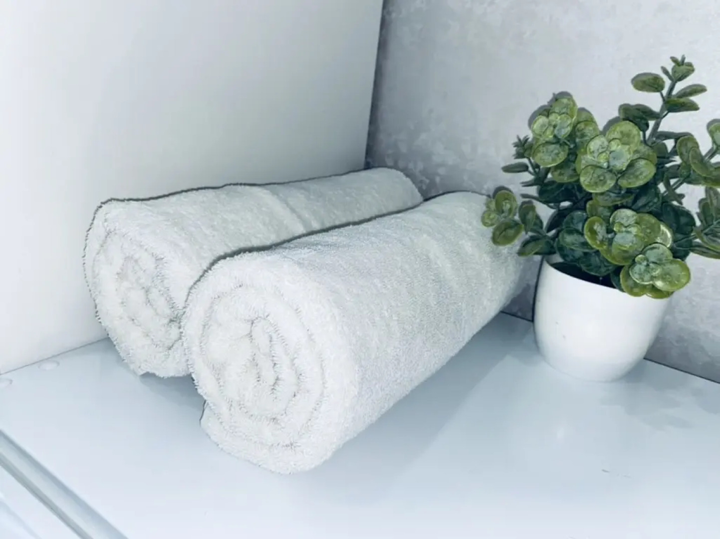 Студия Лимон возле парка и лебединого озера