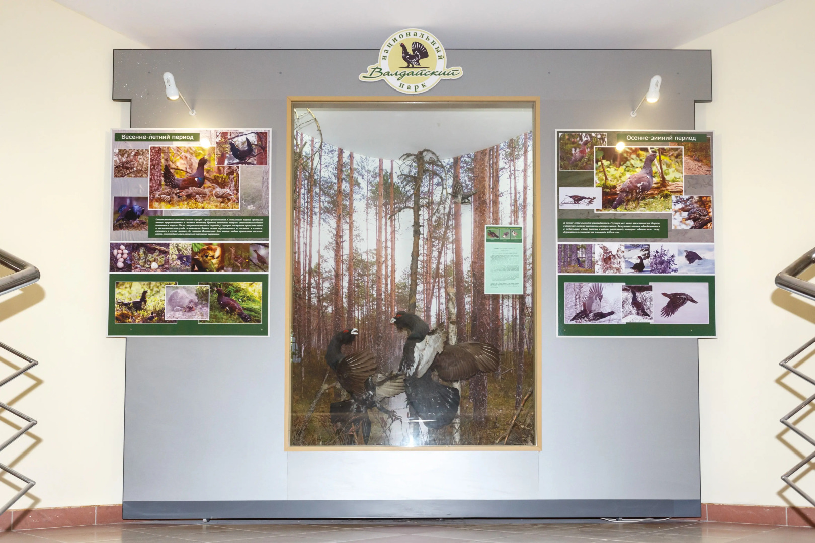 Гостиница Национальный парк Валдайский