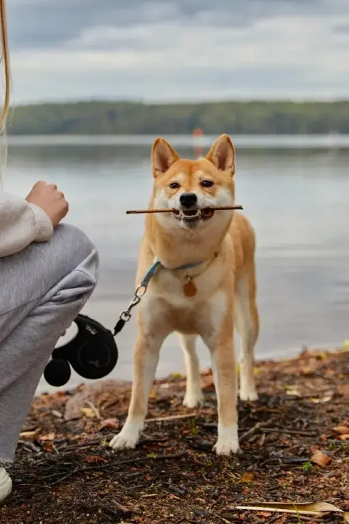 Частный дом Ключ Пионерское XL1