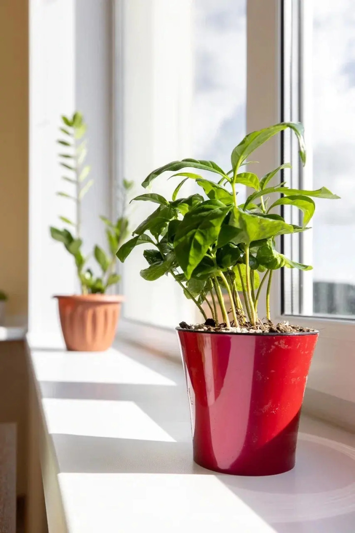 Хостел Кольский 126