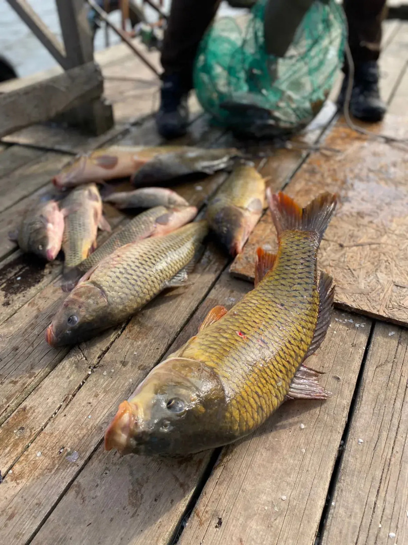 База отдыха Грэй Гуз