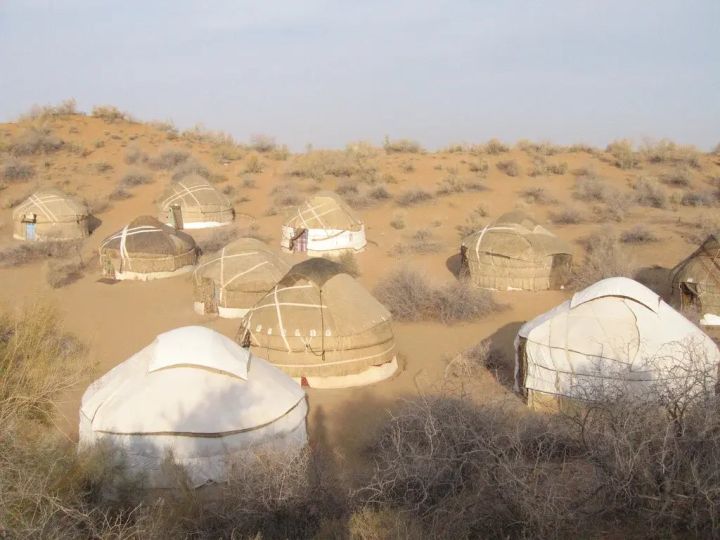 Кемпинг Almagul Yurt