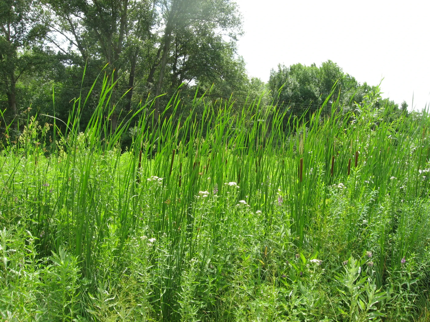 База Отдыха Культурно-оздоровительный центр "Касатка"