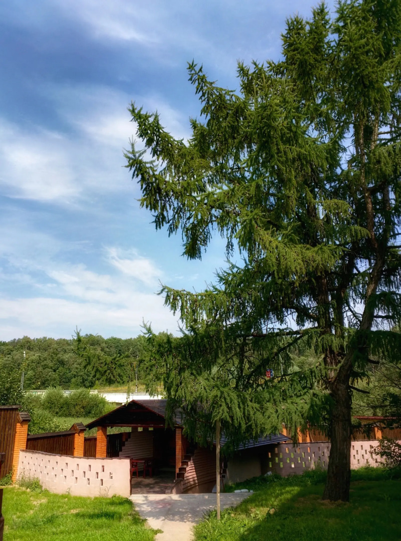 Мини-Отель Внучка