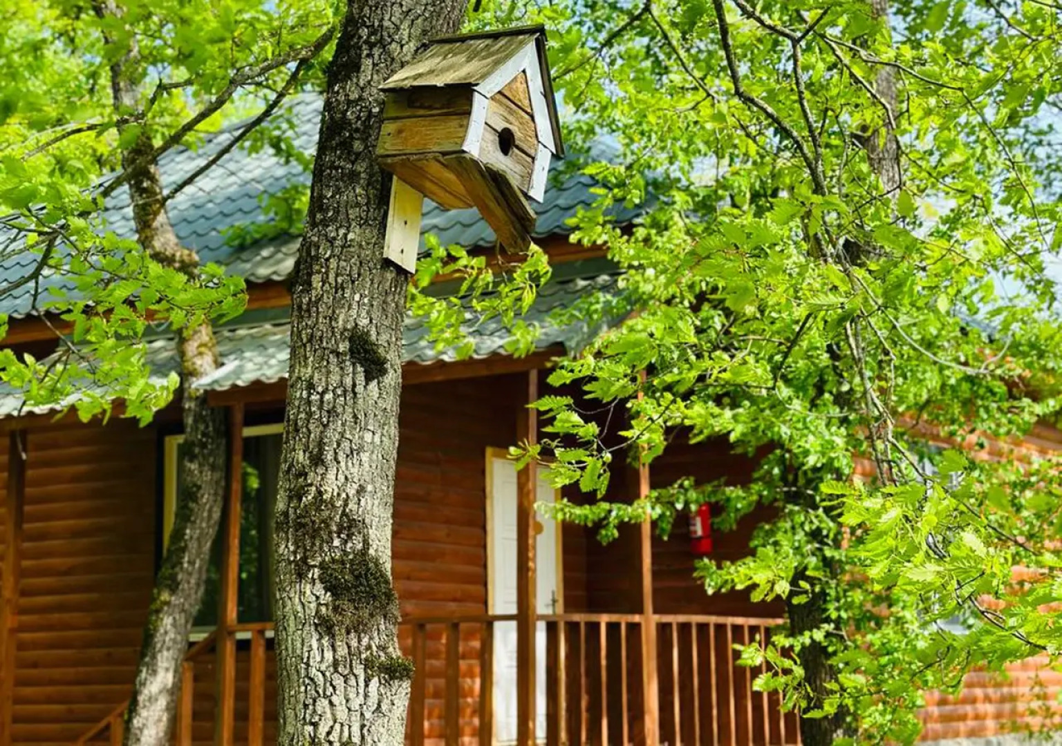 Отель Deluxe Park Qusar Resort & Spa