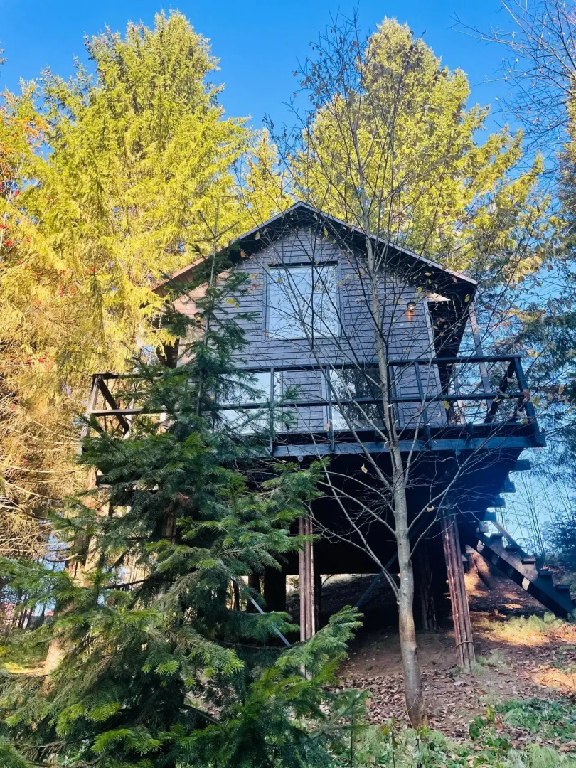 Глэмпинг Опушка Дом среди деревьев