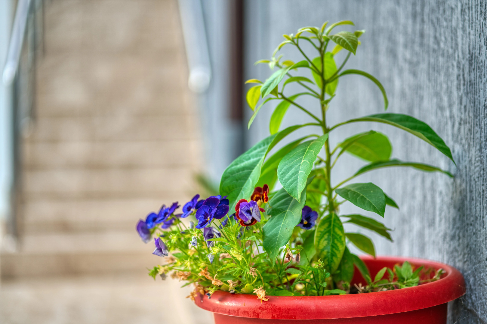 Гостевой дом АиСТ