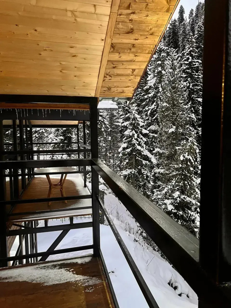 Шале Forest glamp