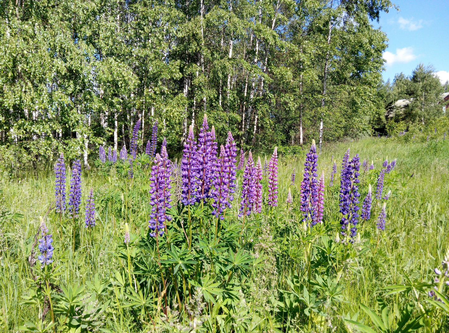 Гостевой Дом "На Волге!"