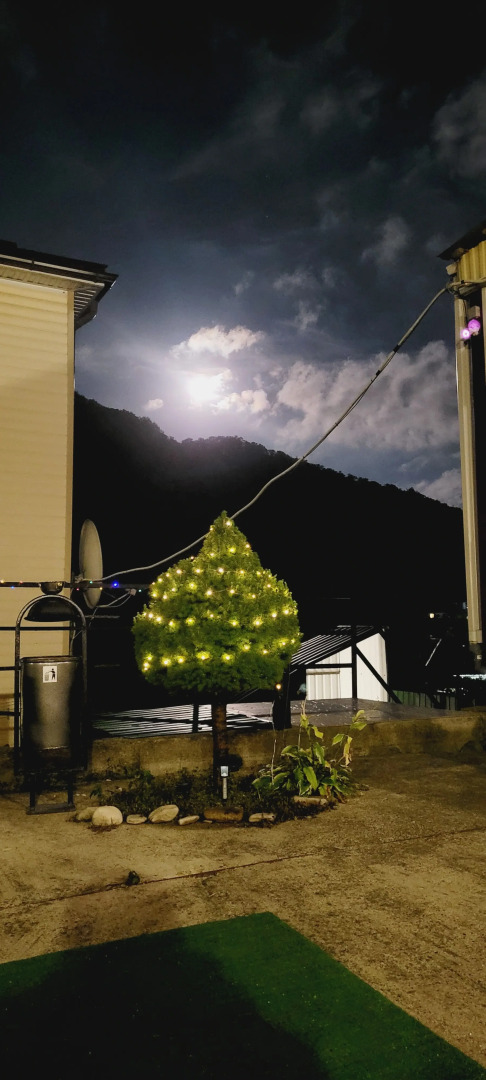 Гостевой дом Ореховый 13 Пляхо