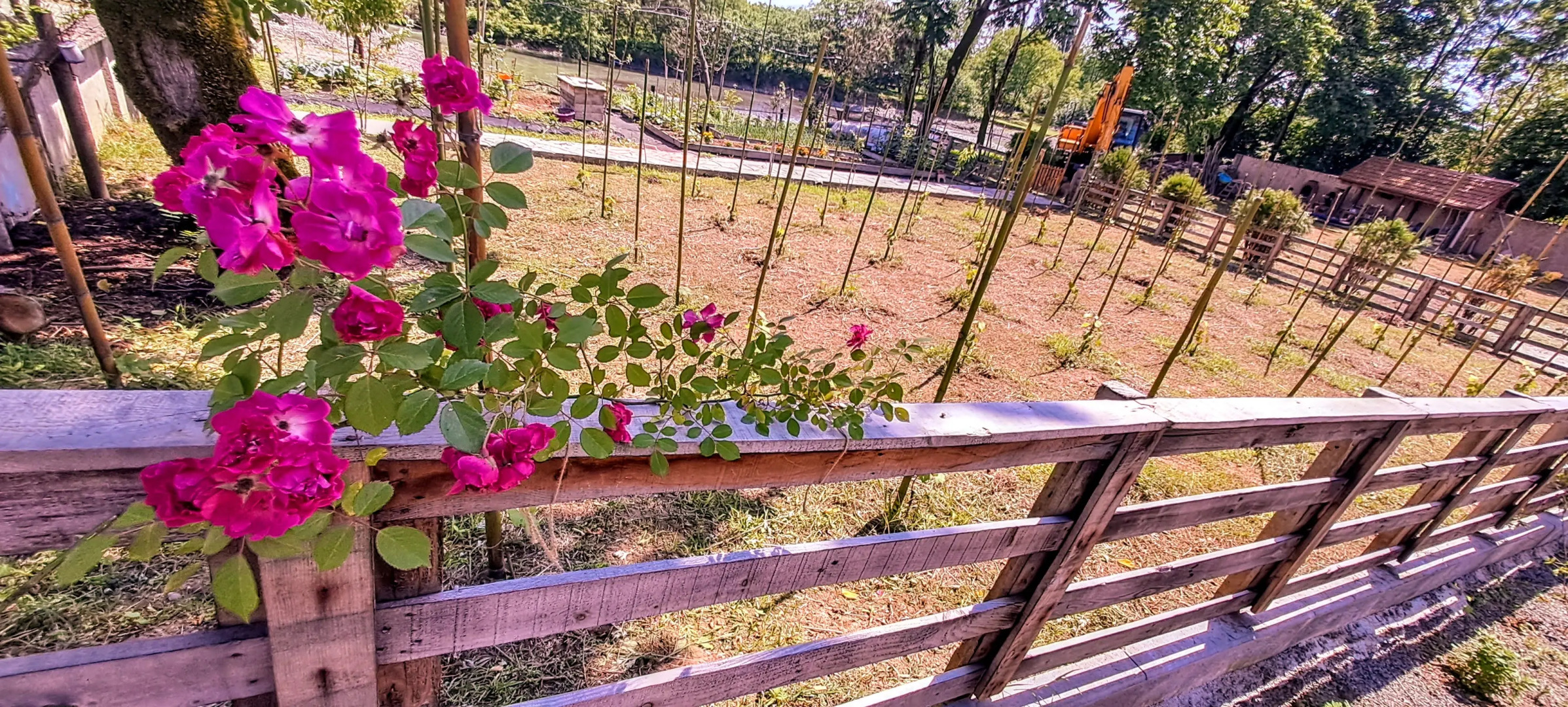 Апарт-отель Mtrediani Wine Lodge