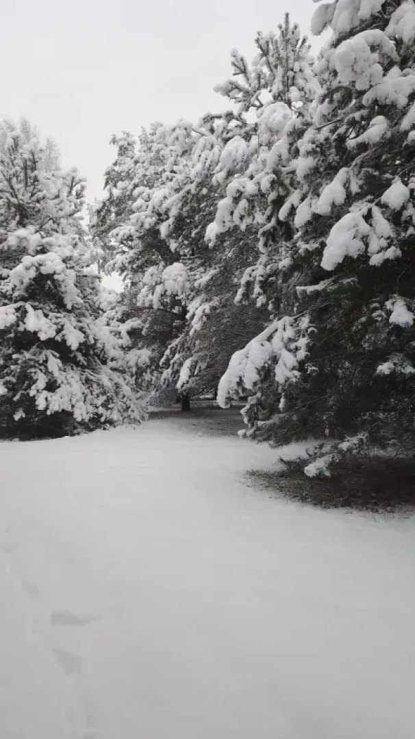 Частный дом Хитрый Лис