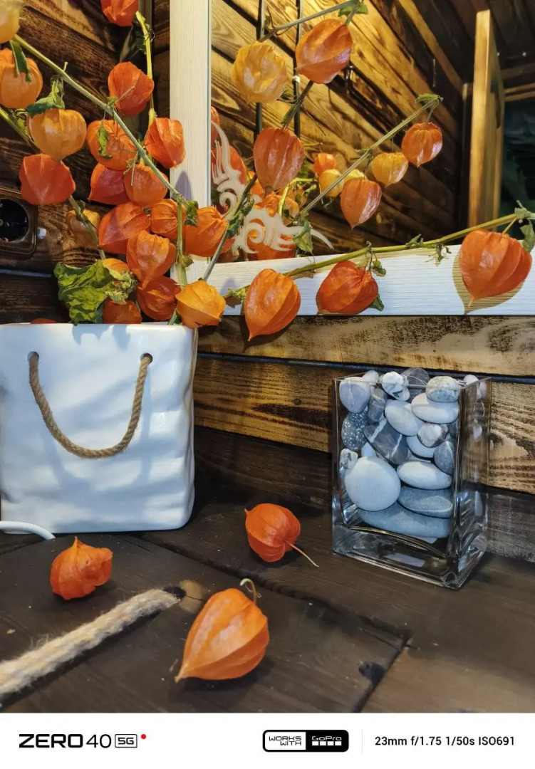 Частный дом в лесу у реки