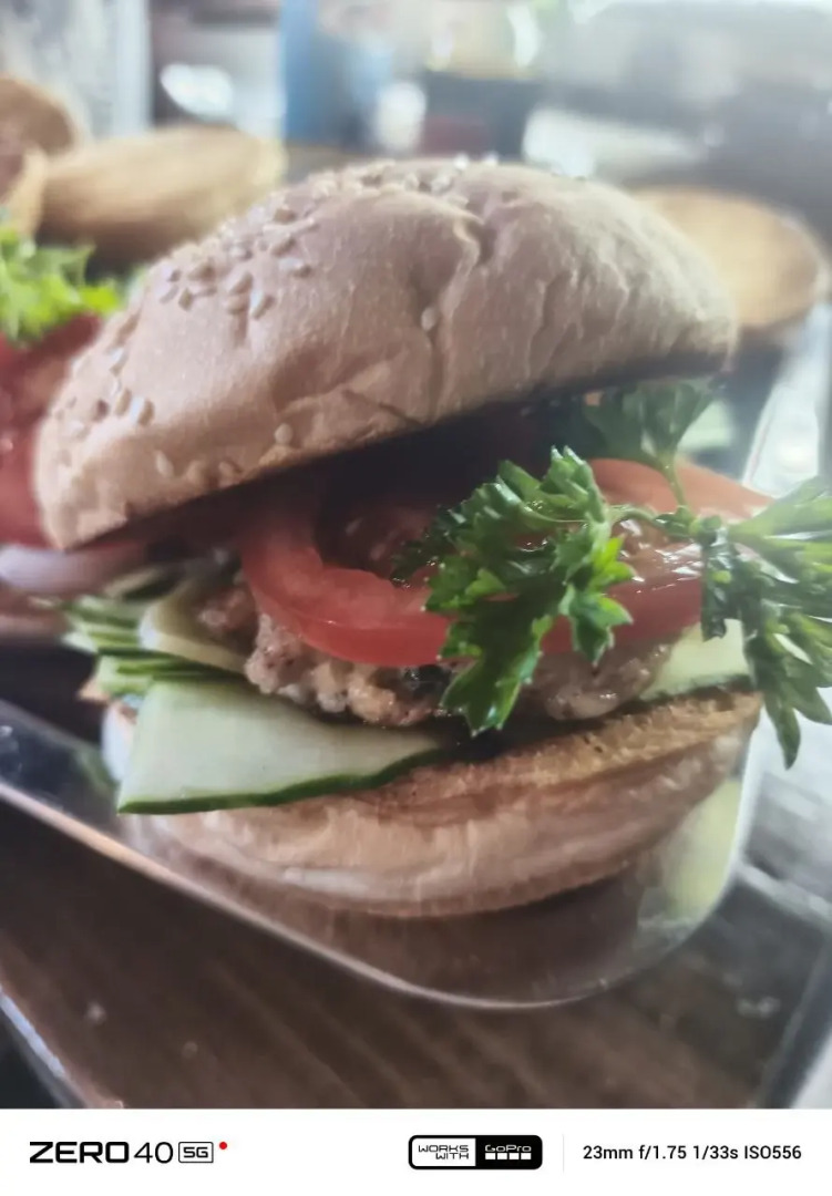 Частный дом в лесу у реки